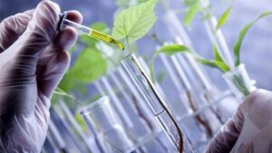 Por US$ 236 millones Bioceres compra empresa de biotecnología para desarrollo agrícola