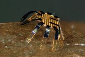 Así es el robot cangrejo más pequeño del mundo
